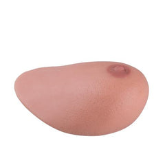 SONOtrain Ultrasound Chest Model with Tumors – Spare Chest