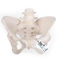 Primary Image Link