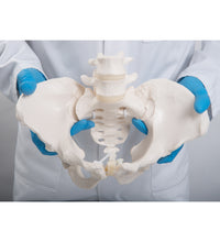 Primary Image Link