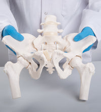 Primary Image Link