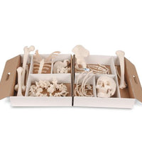 Primary Image Link