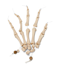 Primary Image Link