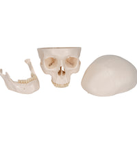 Primary Image Link