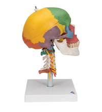Primary Image Link