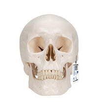 Primary Image Link