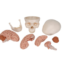 Primary Image Link