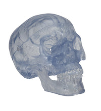 Primary Image Link
