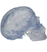 Primary Image Link