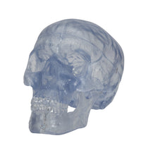 Primary Image Link
