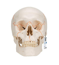 Primary Image Link