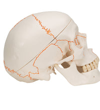 Primary Image Link