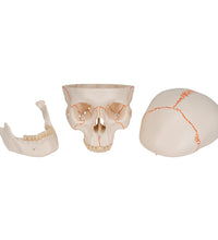 Primary Image Link