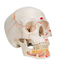 Primary Image Link