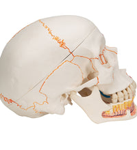 Primary Image Link