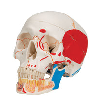 Primary Image Link