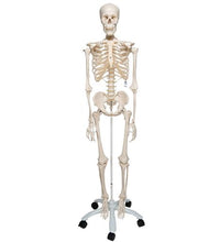 Primary Image Link
