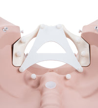 Primary Image Link