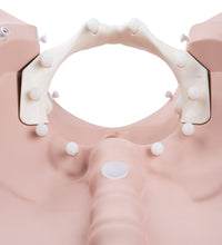 Primary Image Link