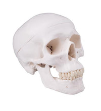 Primary Image Link
