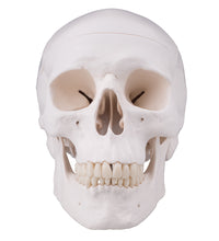 Primary Image Link