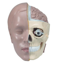 Primary Image Link