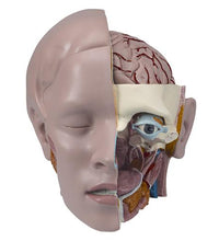 Primary Image Link