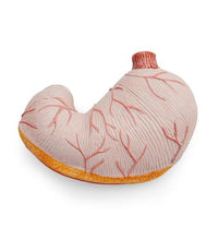 Primary Image Link