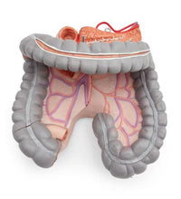 Primary Image Link
