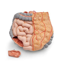 Primary Image Link
