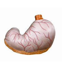 Primary Image Link