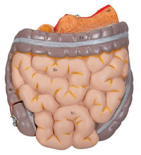 Primary Image Link