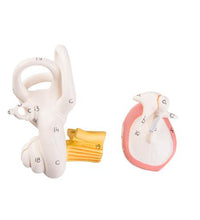 Primary Image Link