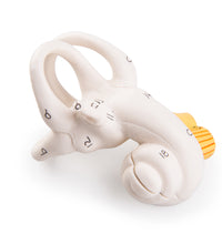 Primary Image Link