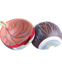 Primary Image Link
