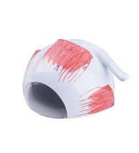 Primary Image Link