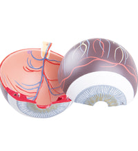 Primary Image Link