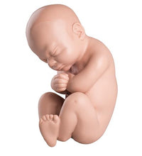 Primary Image Link