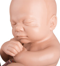 Primary Image Link