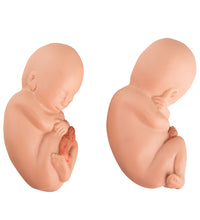 Primary Image Link