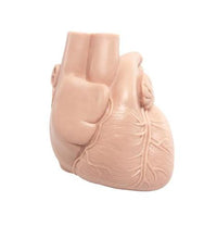 Primary Image Link