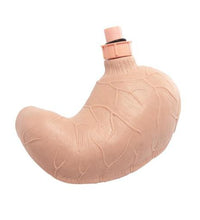 Primary Image Link