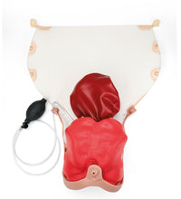 Primary Image Link