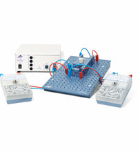 Primary Image Link