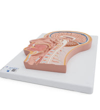 Primary Image Link