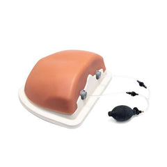 Image Guided Thoracic Spinal Injection Trainer P66