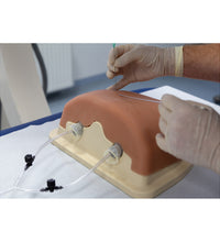 Primary Image Link