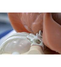 Primary Image Link