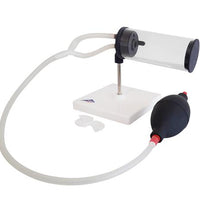 Primary Image Link