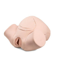 Primary Image Link