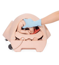 Primary Image Link